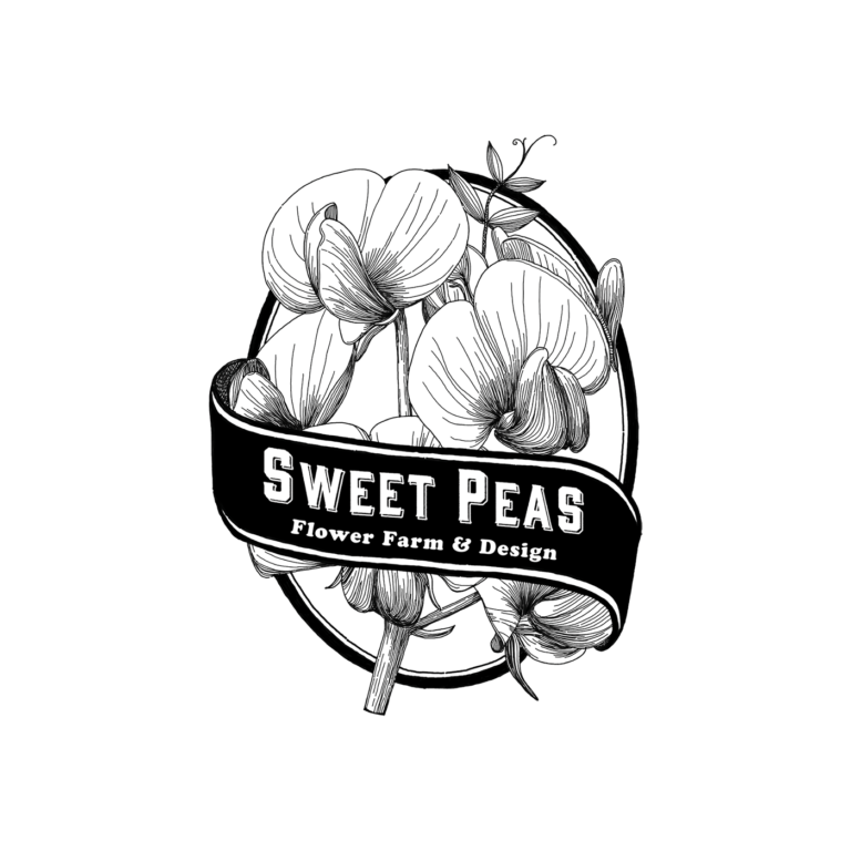 Sunflower Bundle Sweet Peas Flower Shop